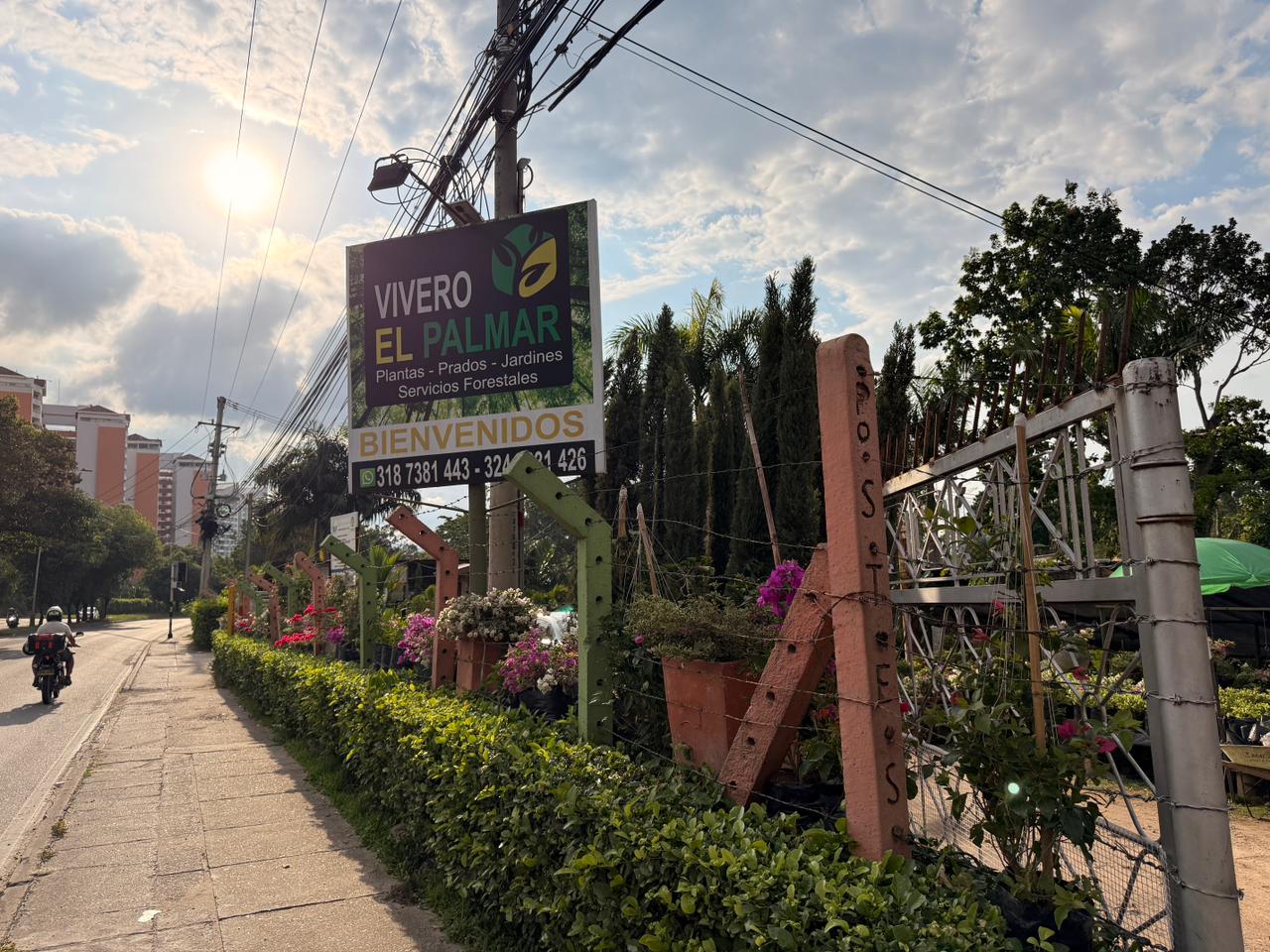 Materos decorativos variados